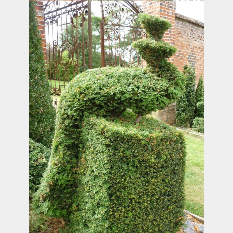 Topiary Designs Topiary Arts Topiary Designs Topiary Arts