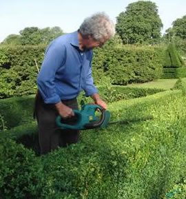 Topiary Cutting & Shaping Gallery