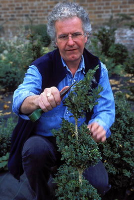 Cutting, Shaping and Training of Topiary Plants