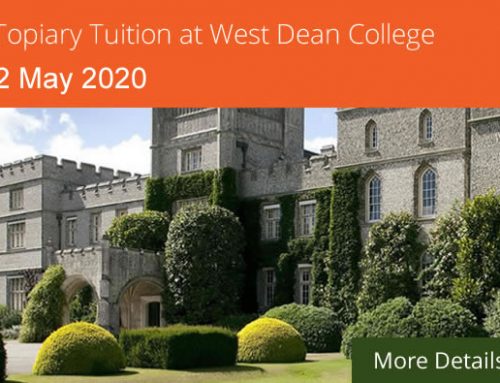 Create your own topiary course at West Dean College on 2nd May 2020
