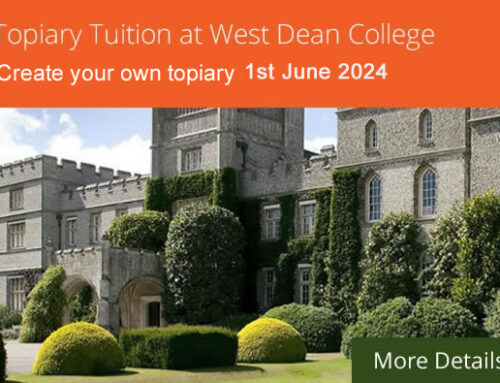 Create your own topiary course 1st June 2024